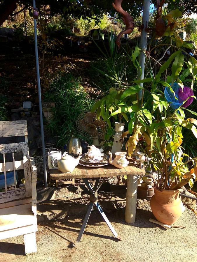 צימר בודד בגליל העליון Kefar Szold Exterior foto