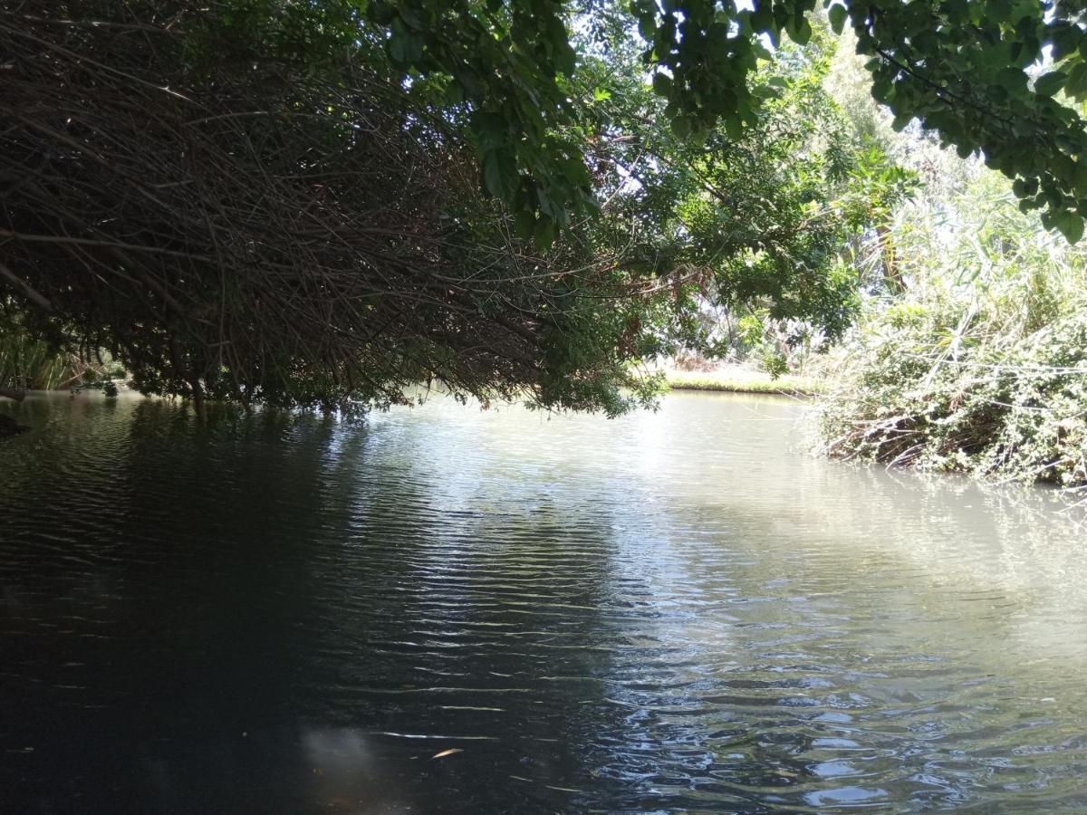 צימר בודד בגליל העליון Kefar Szold Exterior foto