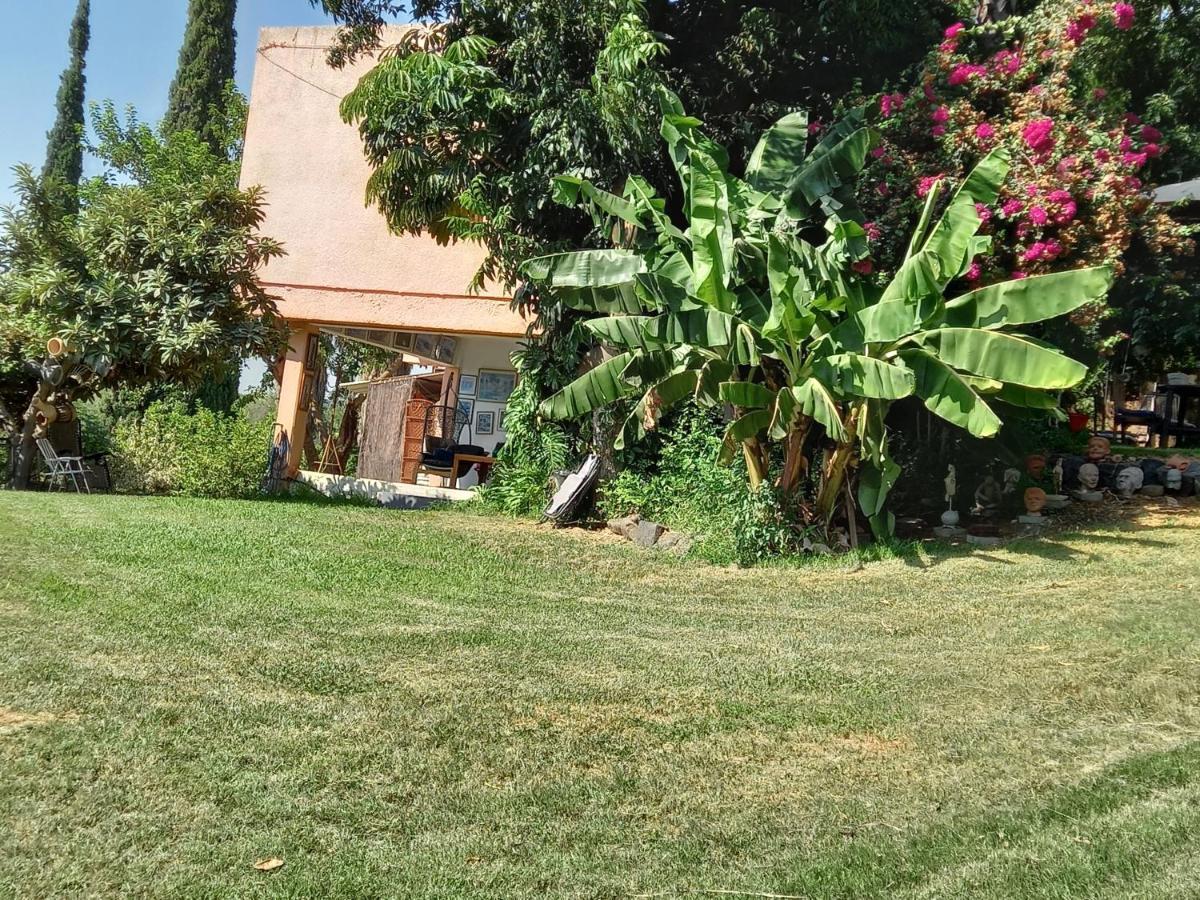 צימר בודד בגליל העליון Kefar Szold Exterior foto