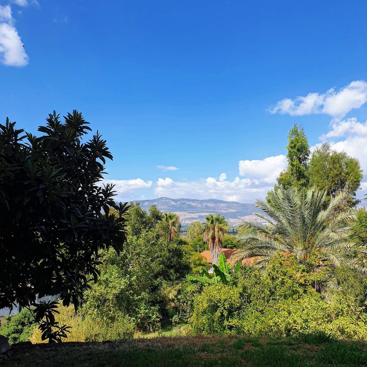 צימר בודד בגליל העליון Kefar Szold Exterior foto